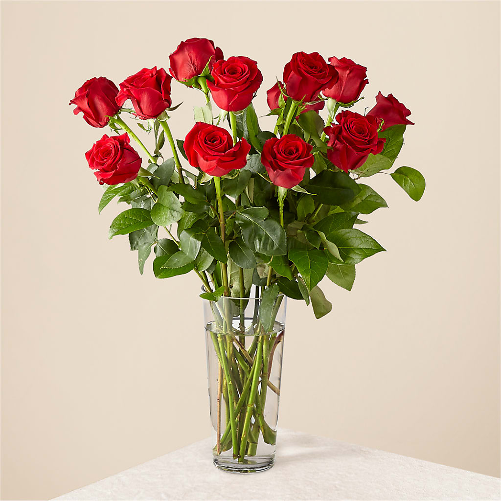 Long Stem Red Rose Bouquet – Flover, Wallington NJ
