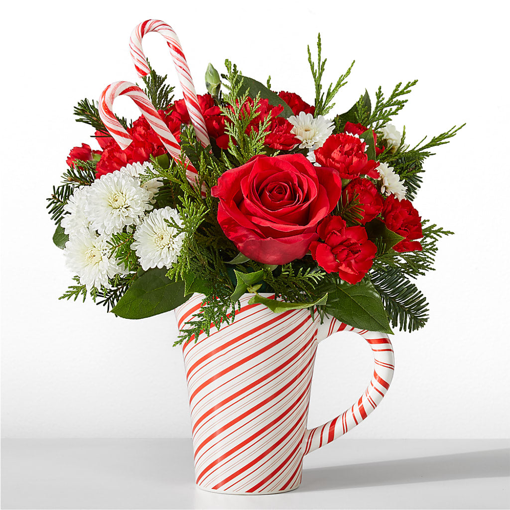 Peppermint Swirl Mug – Flover, Wallington NJ