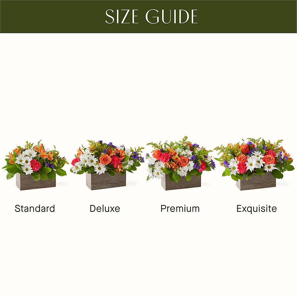 Oopsie Daisy Box Bouquet – Flover, Wallington NJ