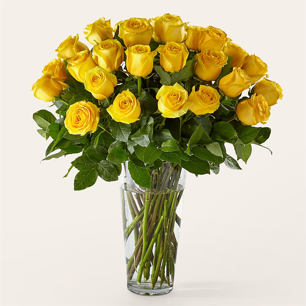 Long Stem Yellow Rose Bouquet – Flover, Wallington NJ