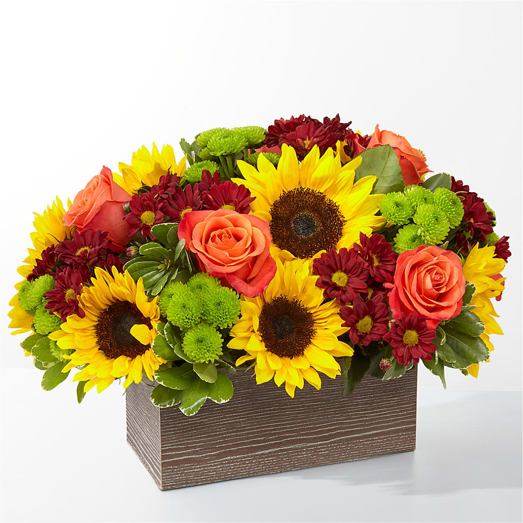 Happy Harvest Garden – Flover, Wallington NJ
