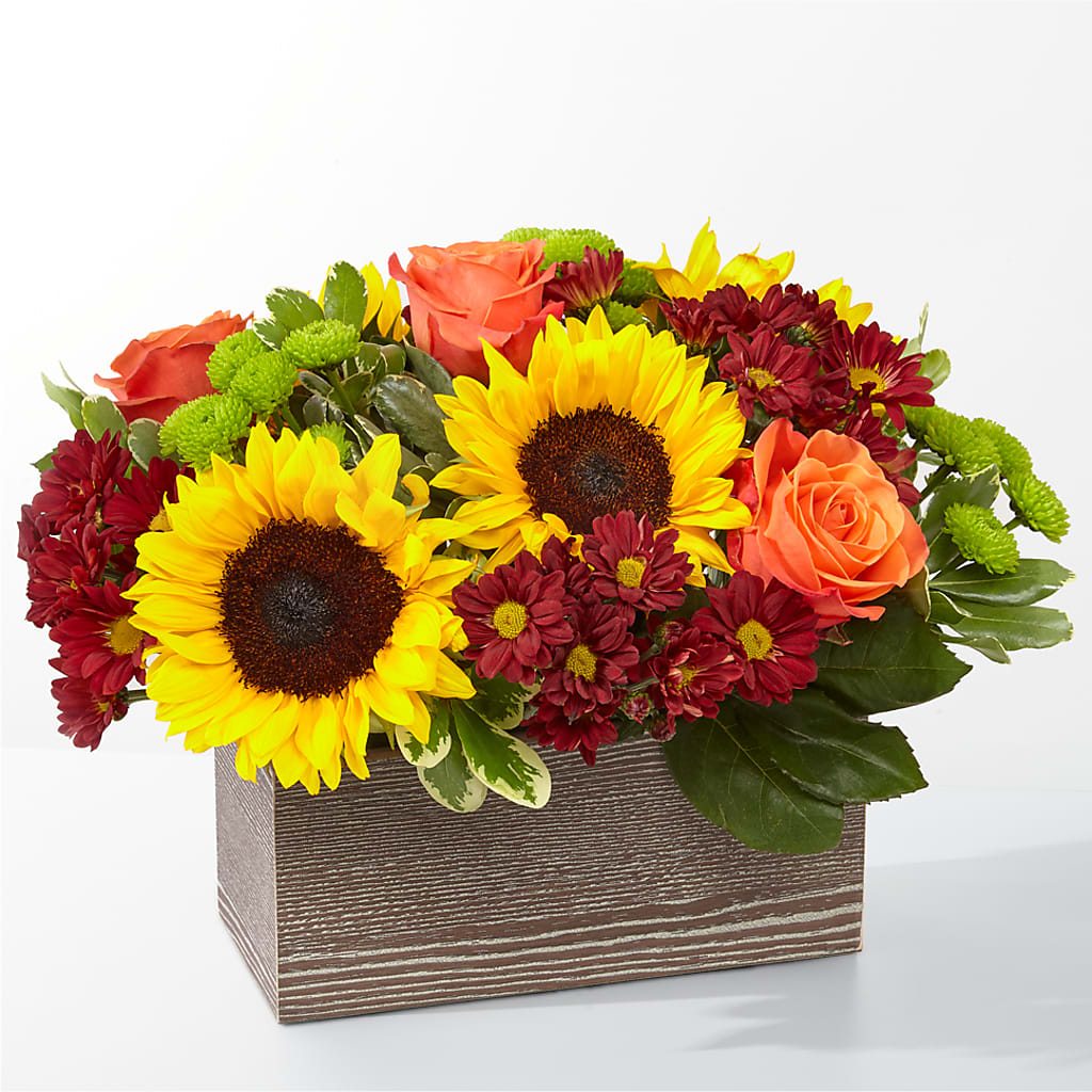 Happy Harvest Garden – Flover, Wallington NJ