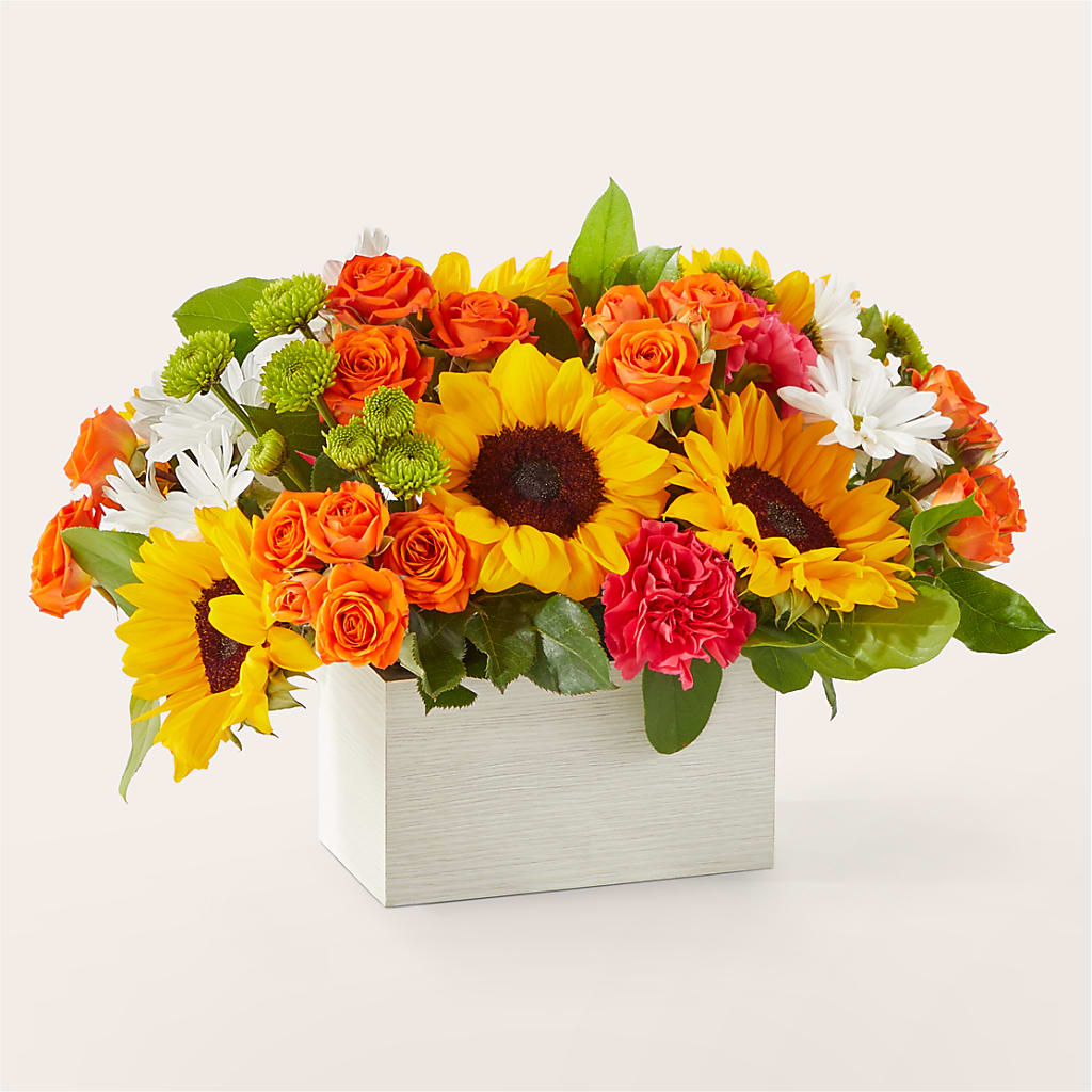 Sun-drenched Blooms Box Bouquet – Flover, Wallington NJ