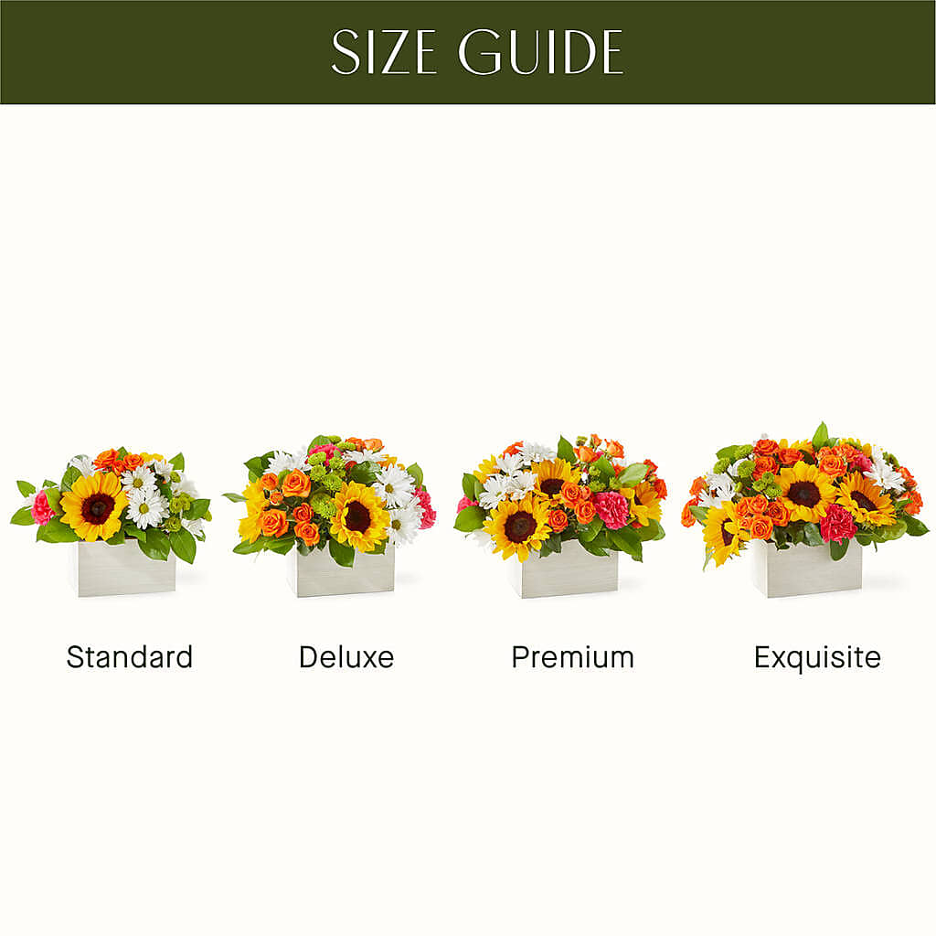 Sun-drenched Blooms Box Bouquet – Flover, Wallington NJ