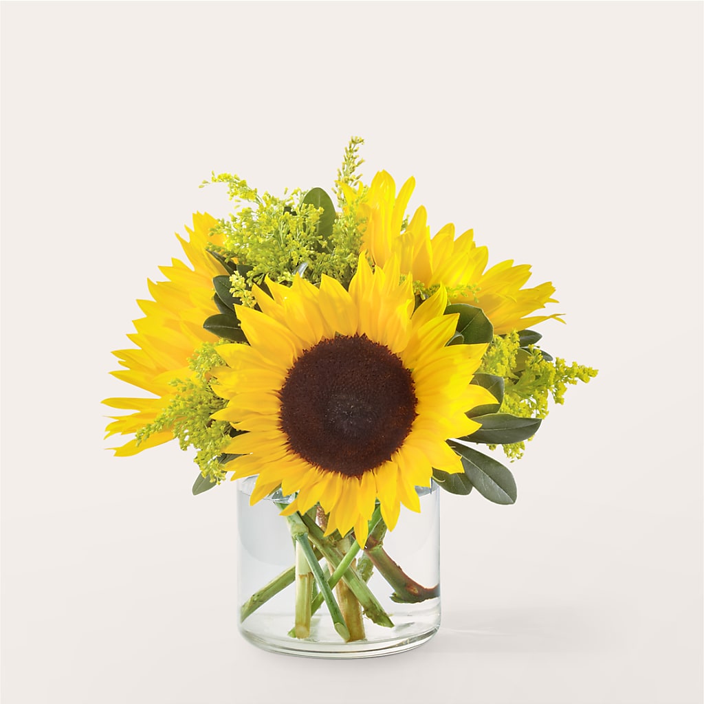 Beaming Sunflower Bouquet – Flover, Wallington NJ