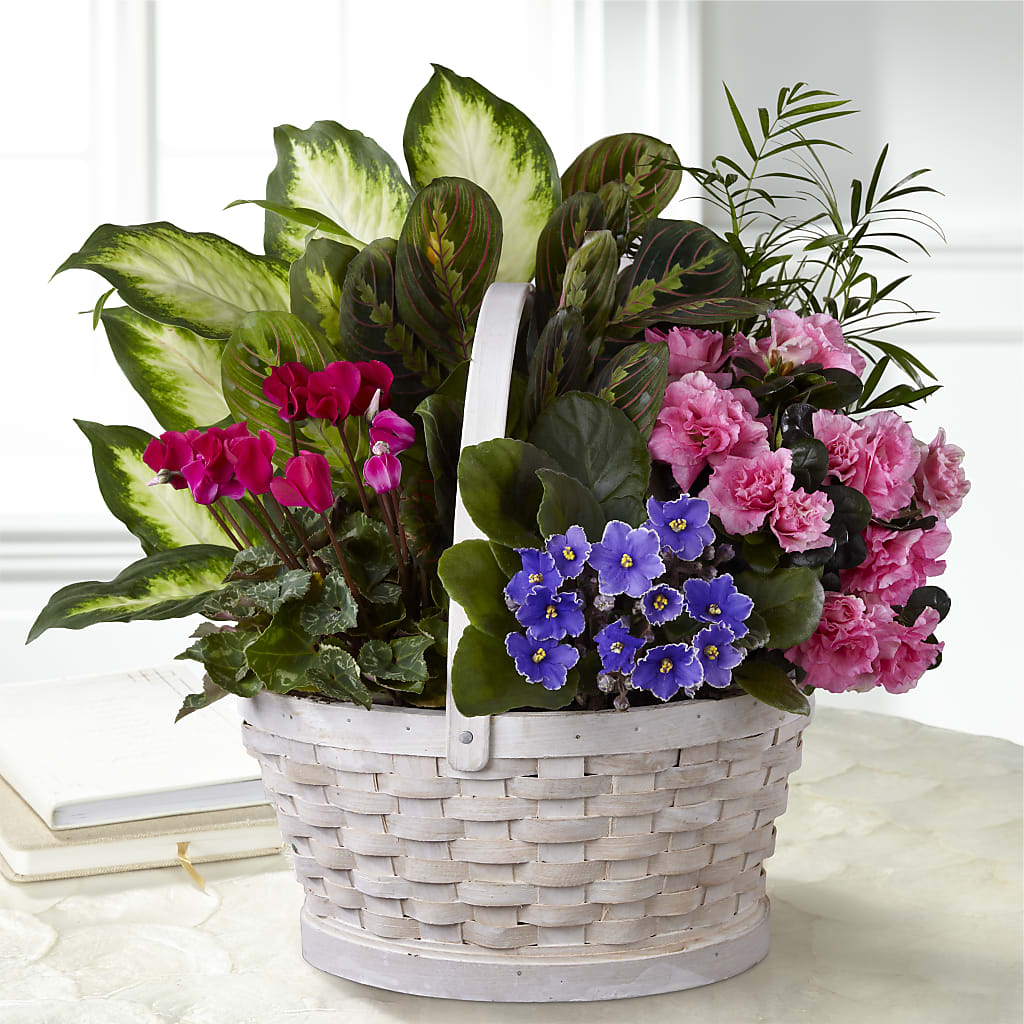 Peaceful Garden Planter – Flover, Wallington NJ
