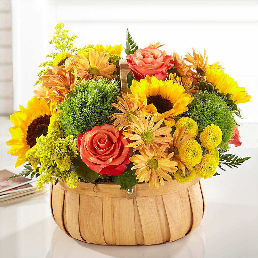 Harvest Sunflower Basket – Flover, Wallington NJ