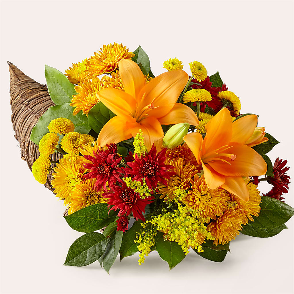 Feast of Color Cornucopia – Flover, Wallington NJ