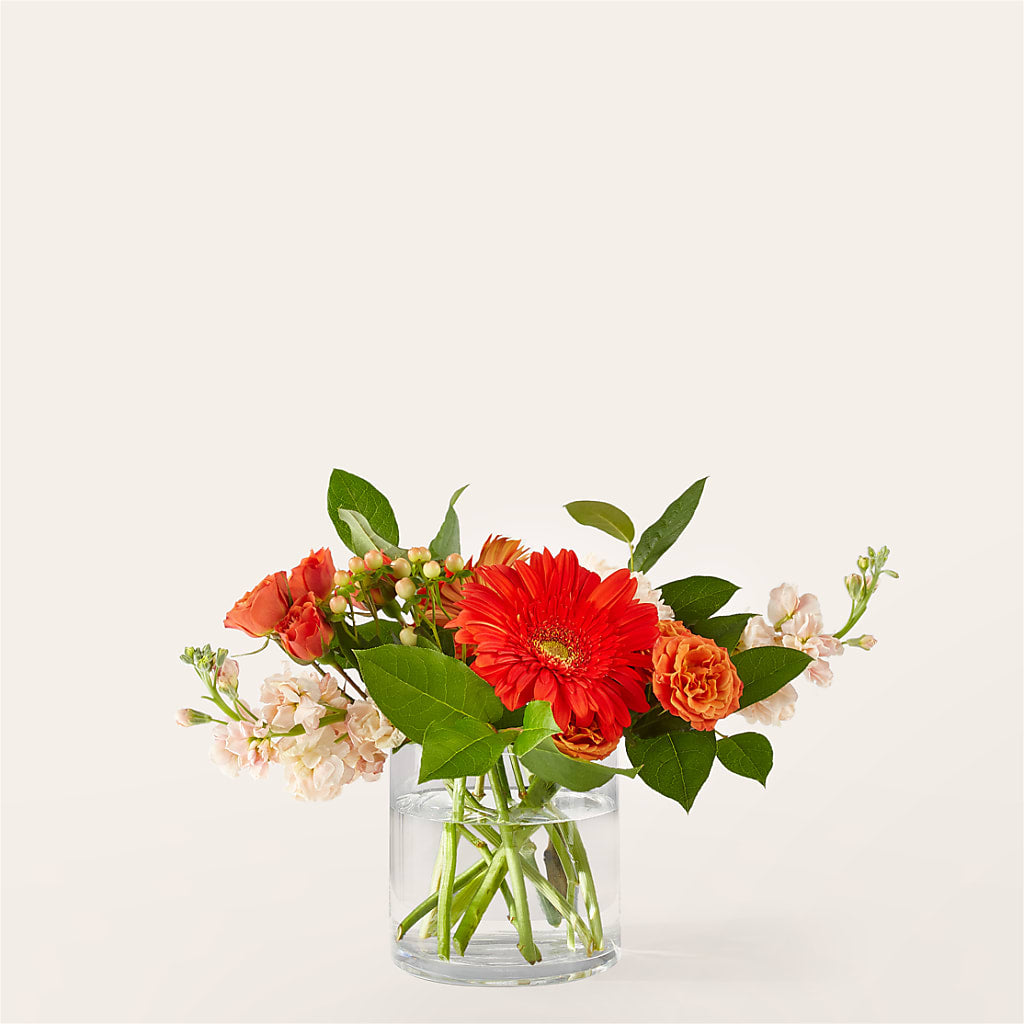 Paloma Please Bouquet – Flover, Wallington NJ
