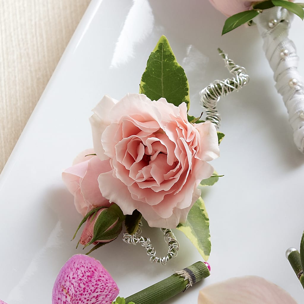 Pink Spray Rose Boutonniere – Flover, Wallington NJ