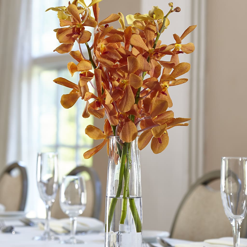 Orange Mokara Bud Vase – Flover, Wallington NJ