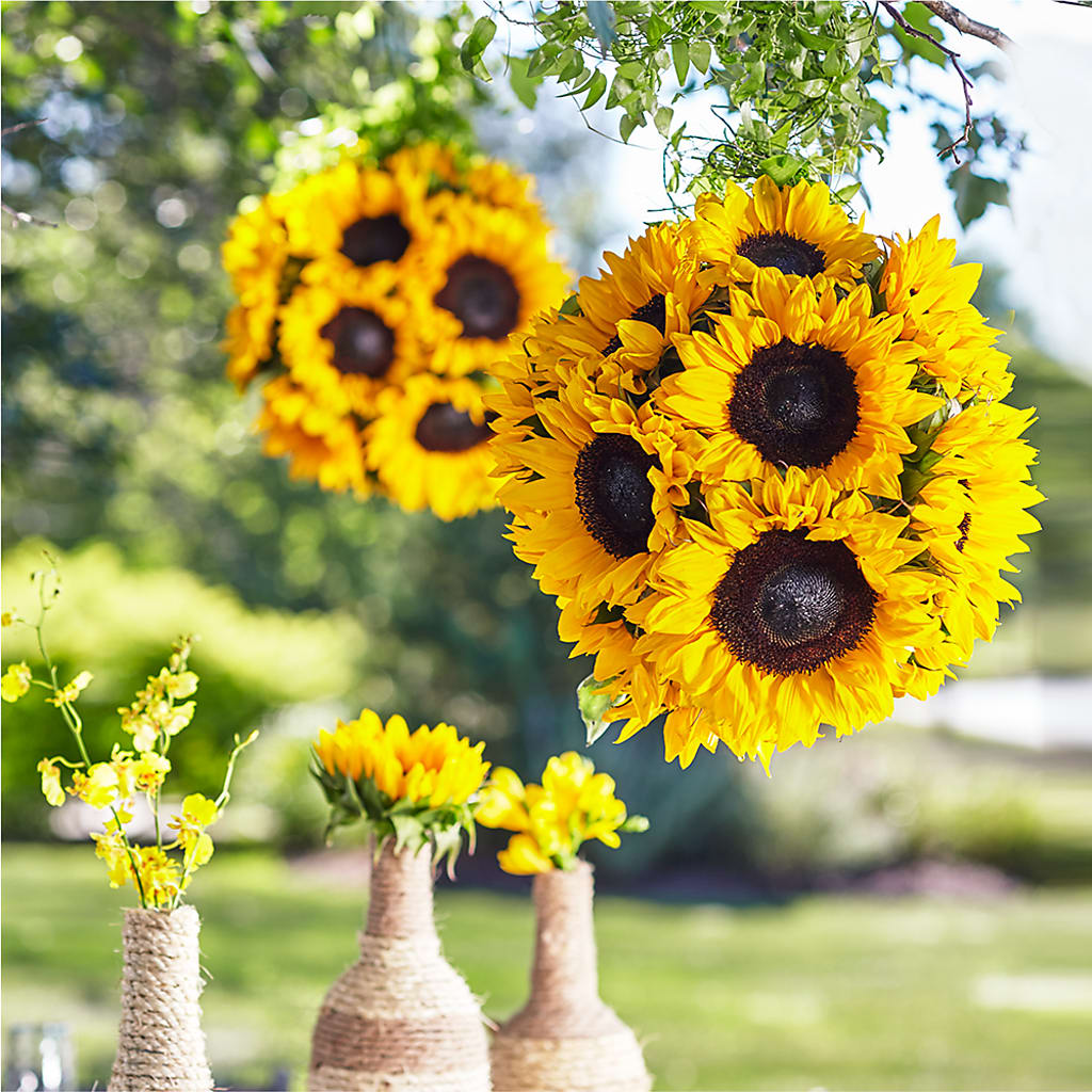 Sublime Garden Hanging Arrangement – Flover, Wallington NJ