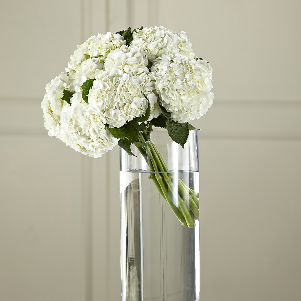 White Hydrangea Hand-Tied Bouquet – Flover, Wallington NJ