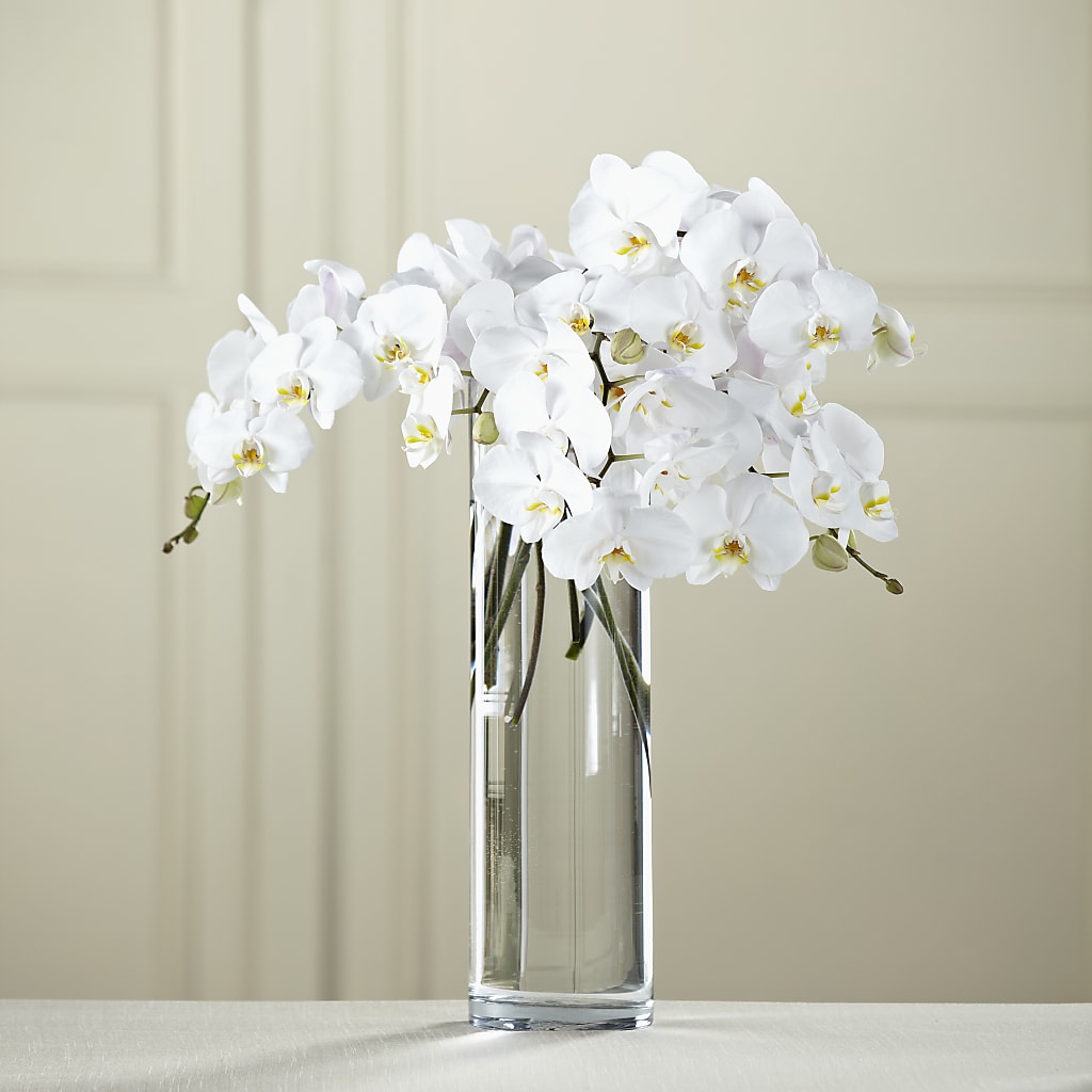 White Phalaenopsis Bouquet – Flover, Wallington NJ