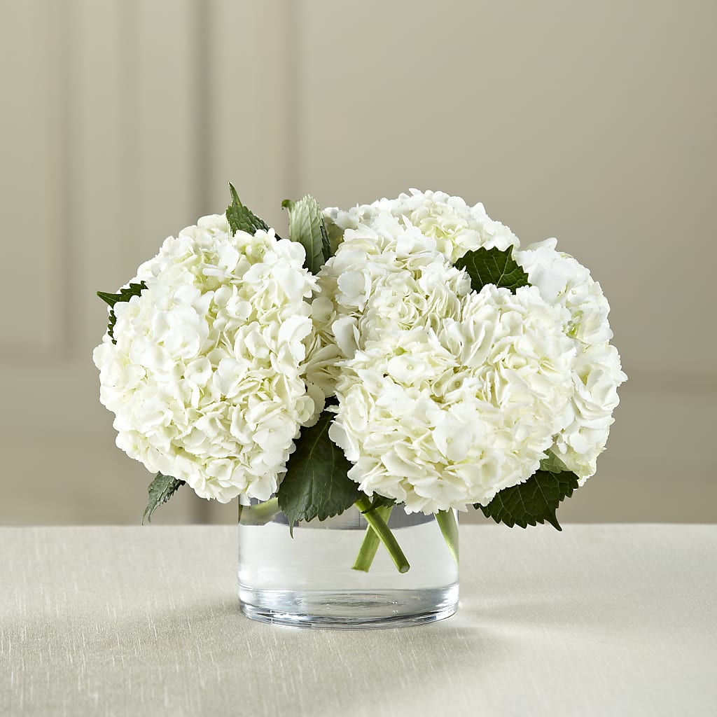 White Hydrangea Bouquet – Flover, Wallington NJ