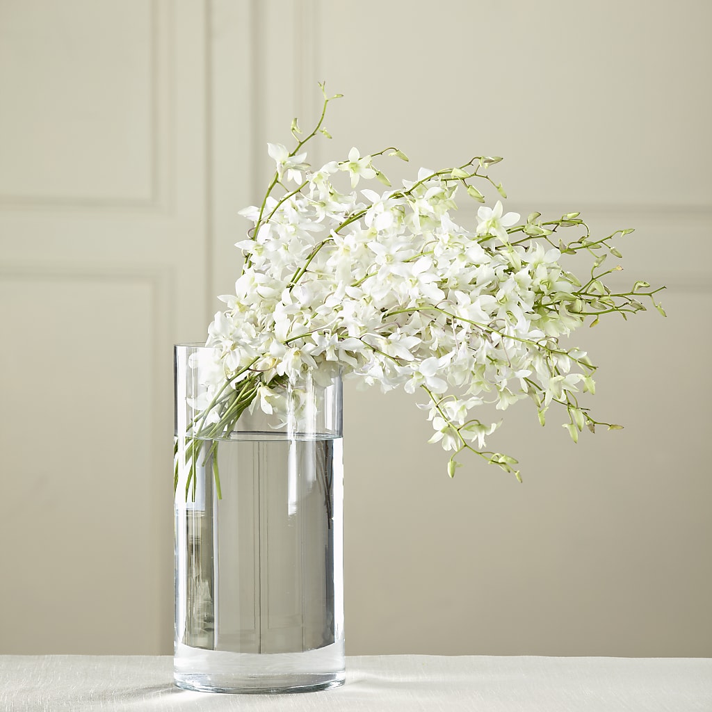 White Dendrobium Bouquet – Flover, Wallington NJ