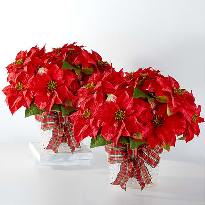 Happiest Holidays Poinsettia Bundle –  Flover, Wallington NJ
