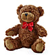 Adorable Plush Bear –  Flover, Wallington NJ