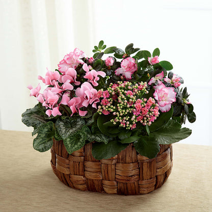 Pink Assortment –  Flover, Wallington NJ