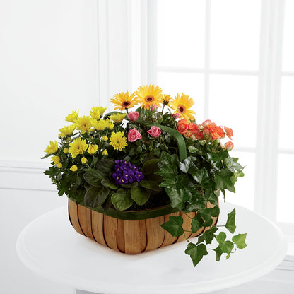 Gentle Blossoms Basket –  Flover, Wallington NJ