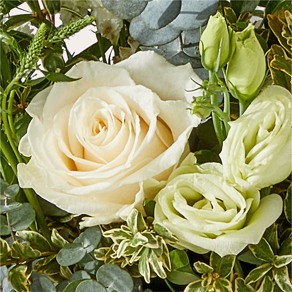 Cashmere Bouquet –  Flover, Wallington NJ