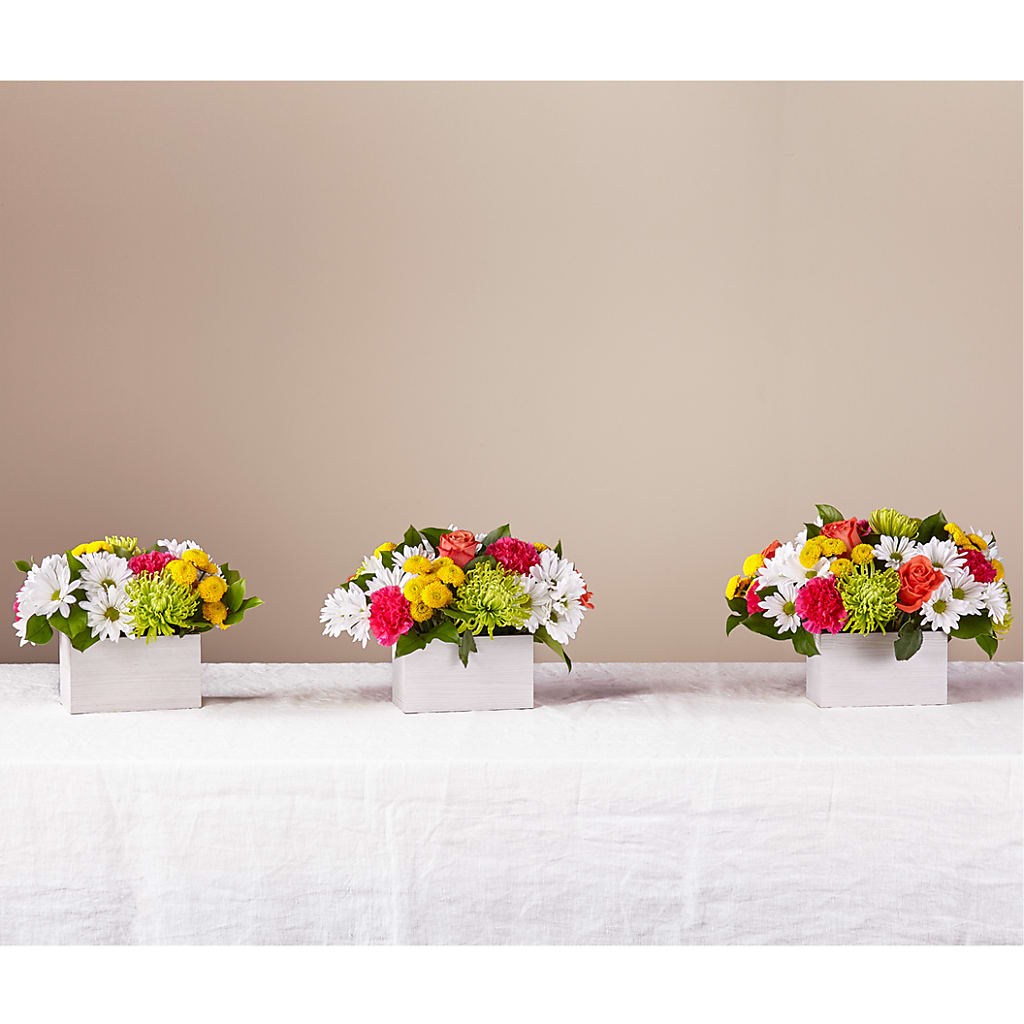 Sorbet Bouquet –  Flover, Wallington NJ
