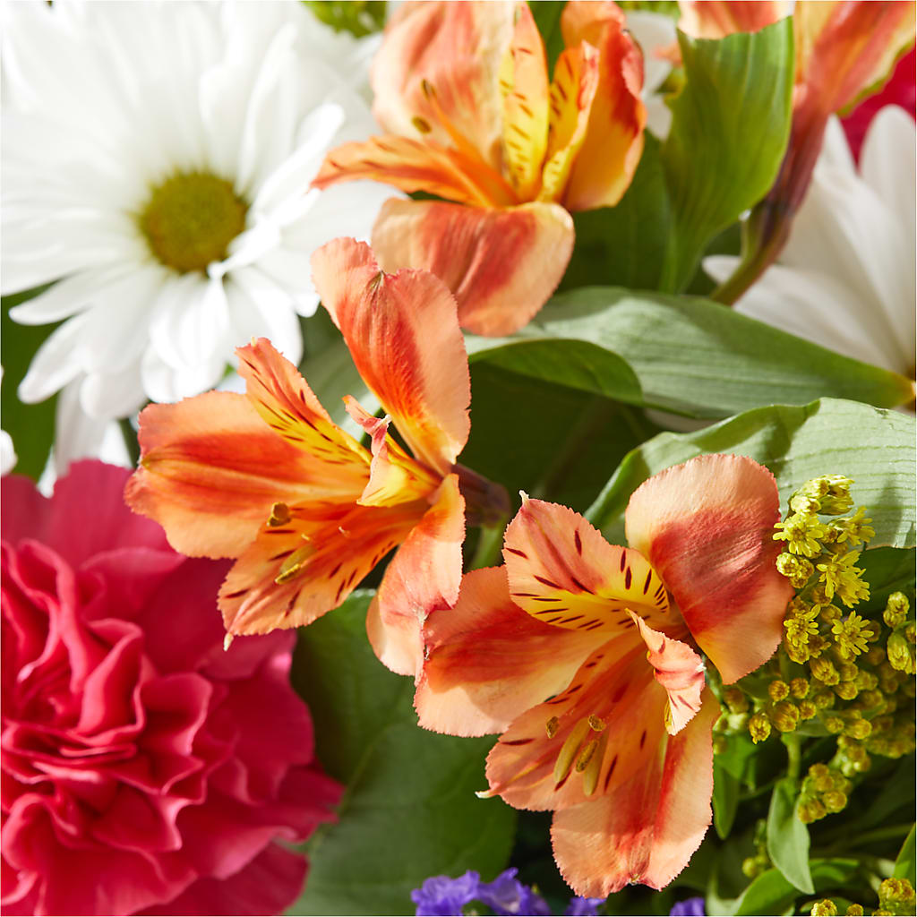 Oopsie Daisy Box Bouquet –  Flover, Wallington NJ