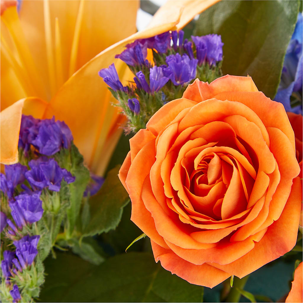 Radiant Citrus Box Bouquet –  Flover, Wallington NJ