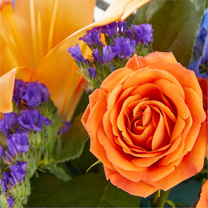 Radiant Citrus Box Bouquet –  Flover, Wallington NJ