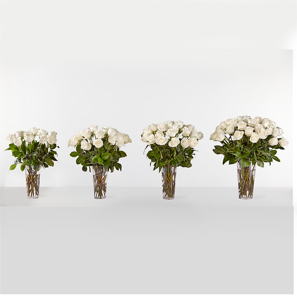 Long Stem White Rose Bouquet –  Flover, Wallington NJ