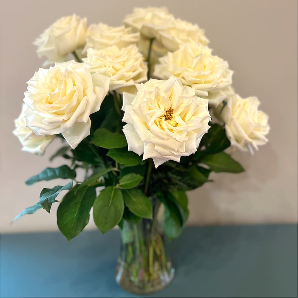 Long Stem Yellow Rose Bouquet –  Flover, Wallington NJ