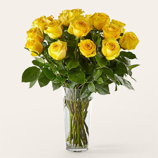 Long Stem Yellow Rose Bouquet –  Flover, Wallington NJ