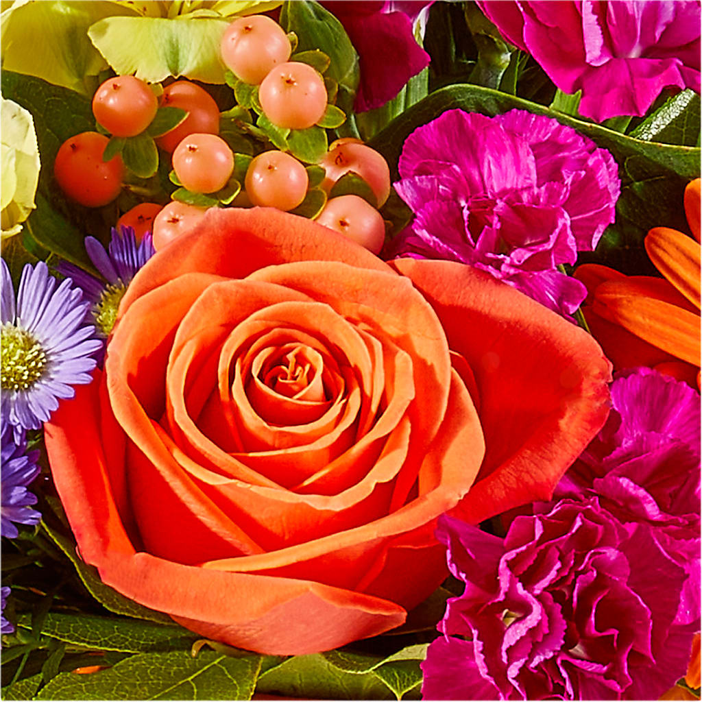 Tricks & Treats Pumpkin –  Flover, Wallington NJ