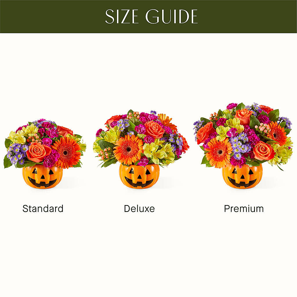 Tricks & Treats Pumpkin –  Flover, Wallington NJ
