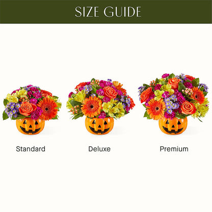 Tricks & Treats Pumpkin –  Flover, Wallington NJ