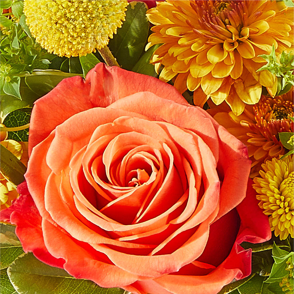 Gourdgeous Pumpkin –  Flover, Wallington NJ