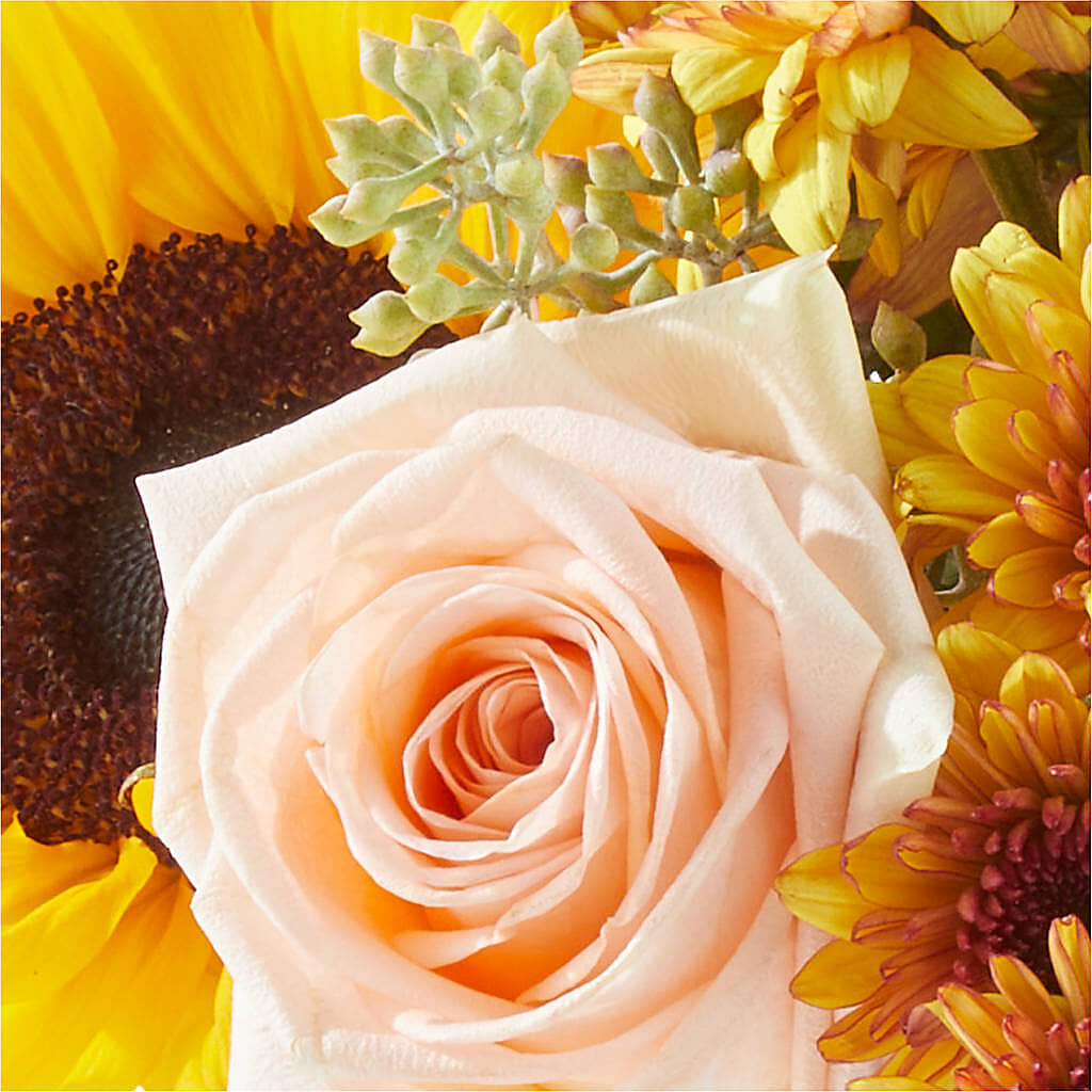 Pumpkin to Talk About Bouquet –  Flover, Wallington NJ