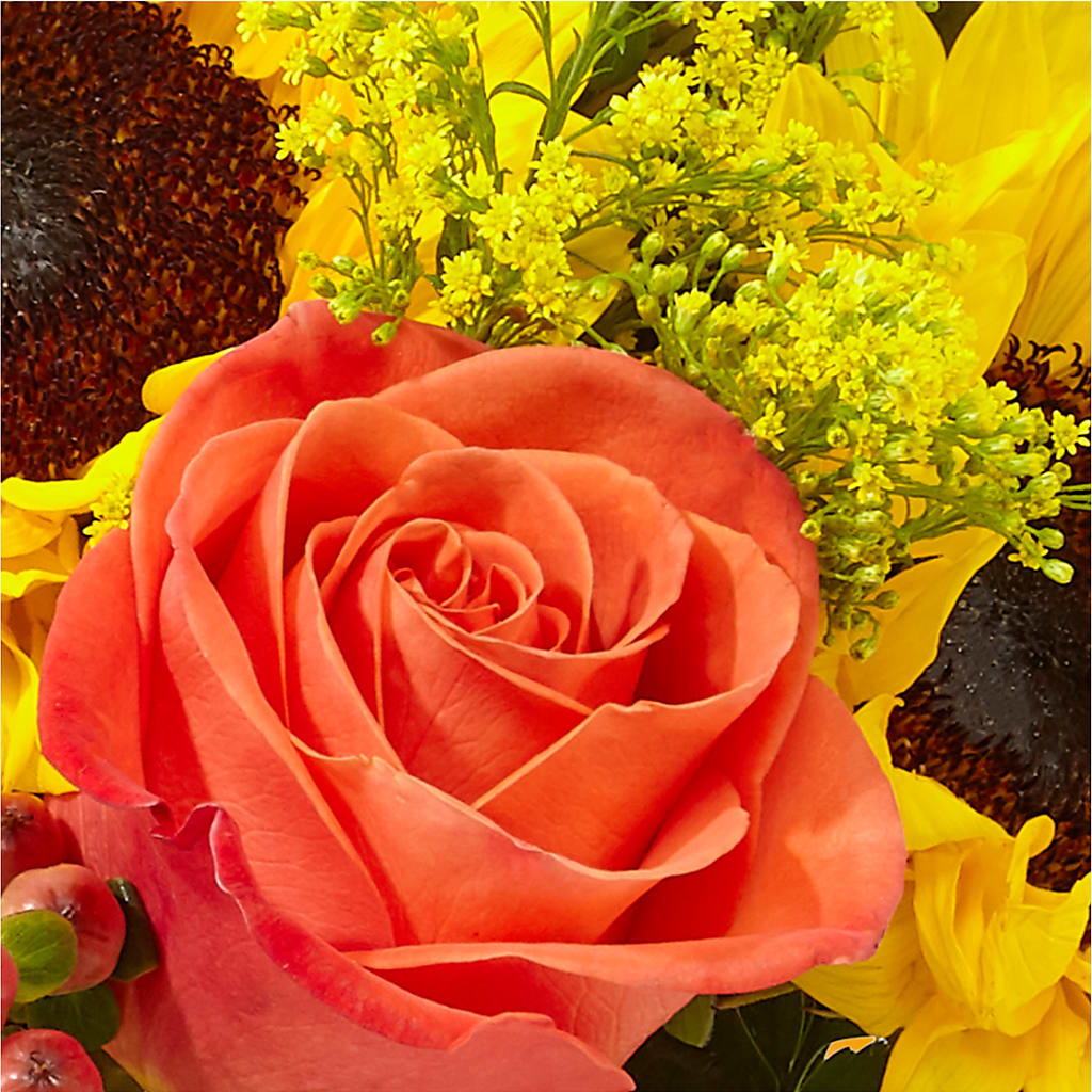 Pick of the Patch Pumpkin Bouquet –  Flover, Wallington NJ