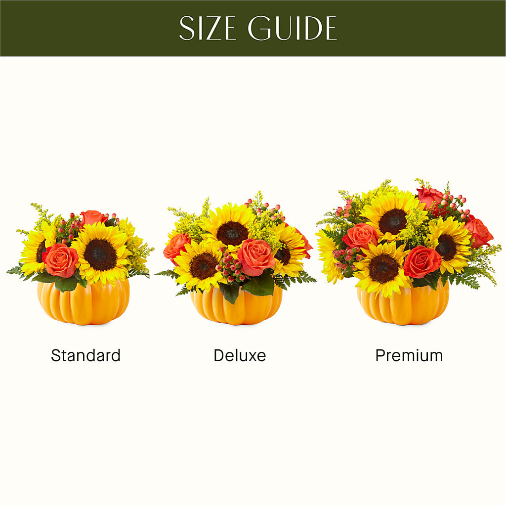 Pick of the Patch Pumpkin Bouquet –  Flover, Wallington NJ