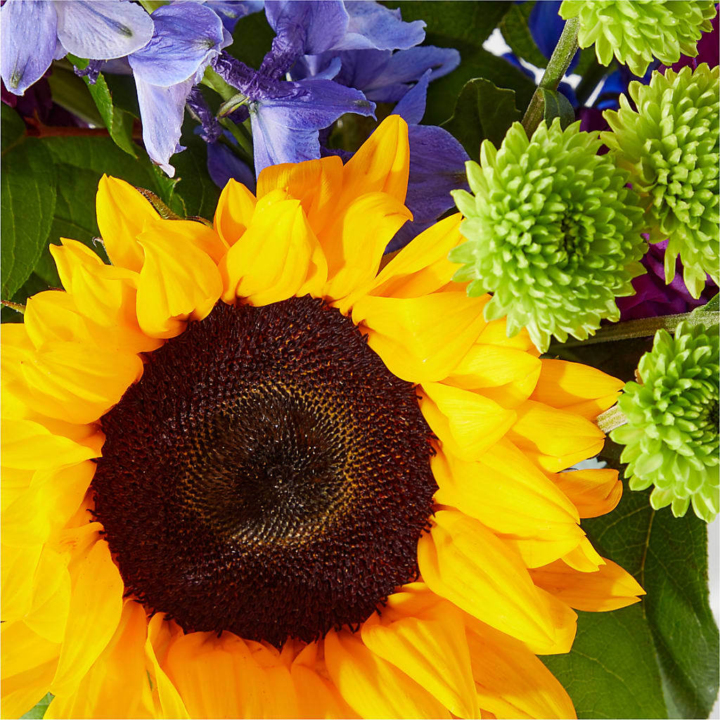 Catching Rays Bouquet –  Flover, Wallington NJ