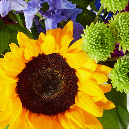 Catching Rays Bouquet –  Flover, Wallington NJ