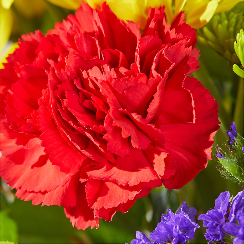 Brighter Days Bouquet –  Flover, Wallington NJ