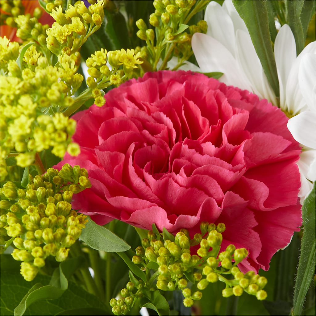 Oopsie Daisy Bouquet –  Flover, Wallington NJ