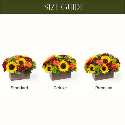 Happy Harvest Garden –  Flover, Wallington NJ
