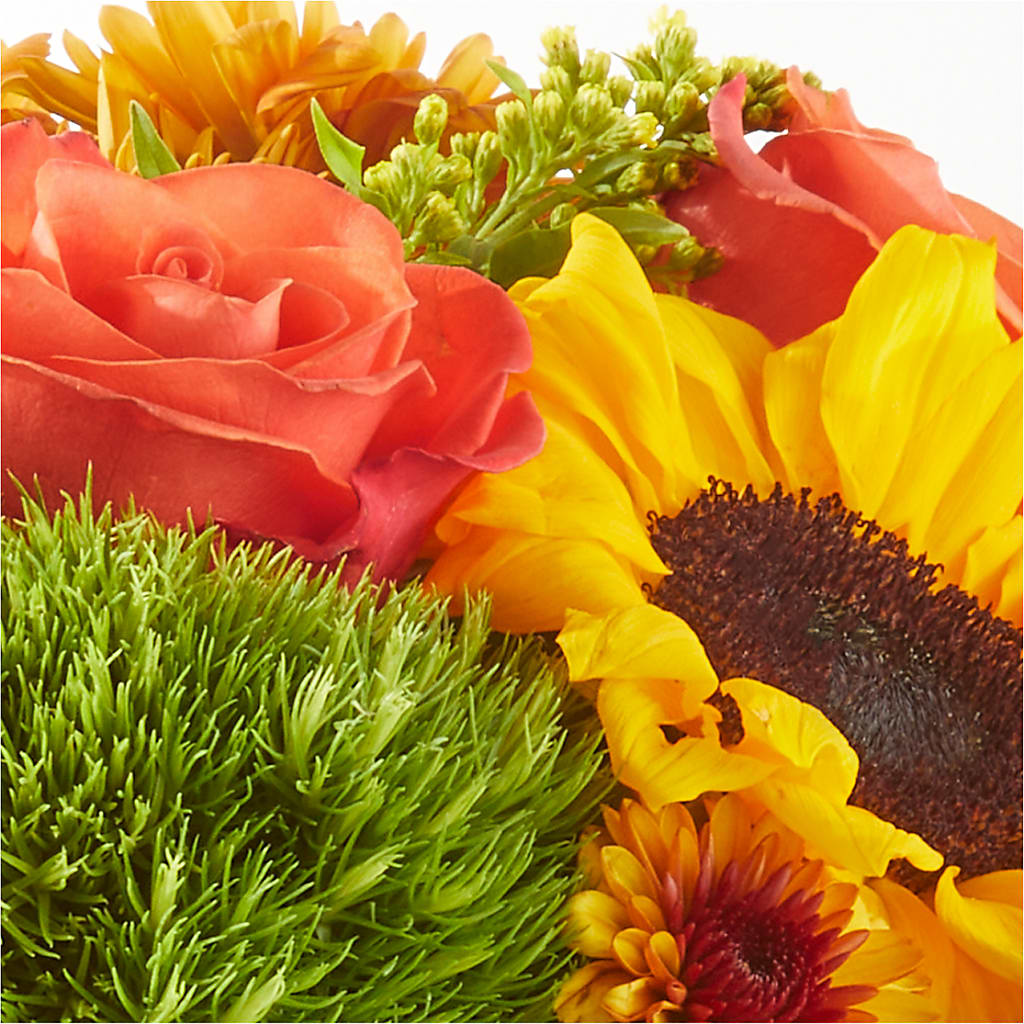 Farmer’s Market Stroll Bouquet –  Flover, Wallington NJ