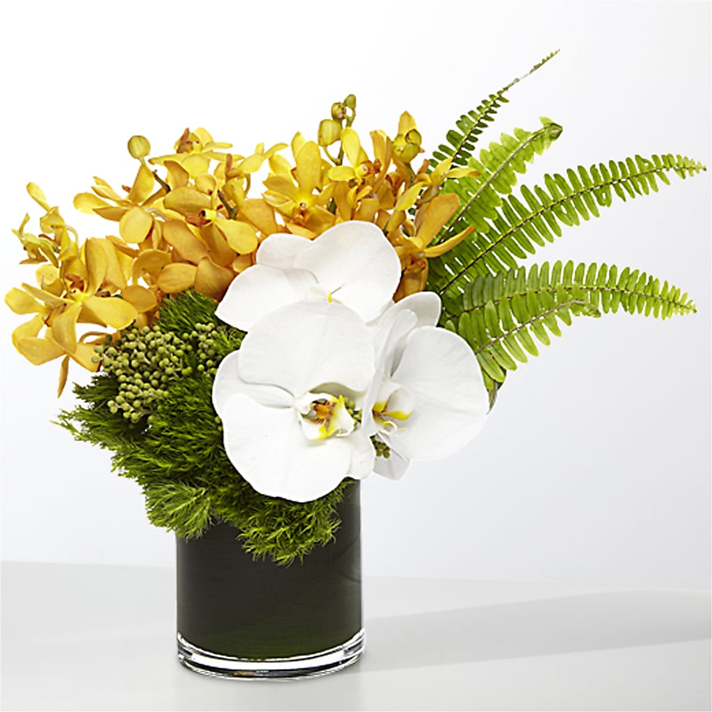 The Tropics –  Flover, Wallington NJ