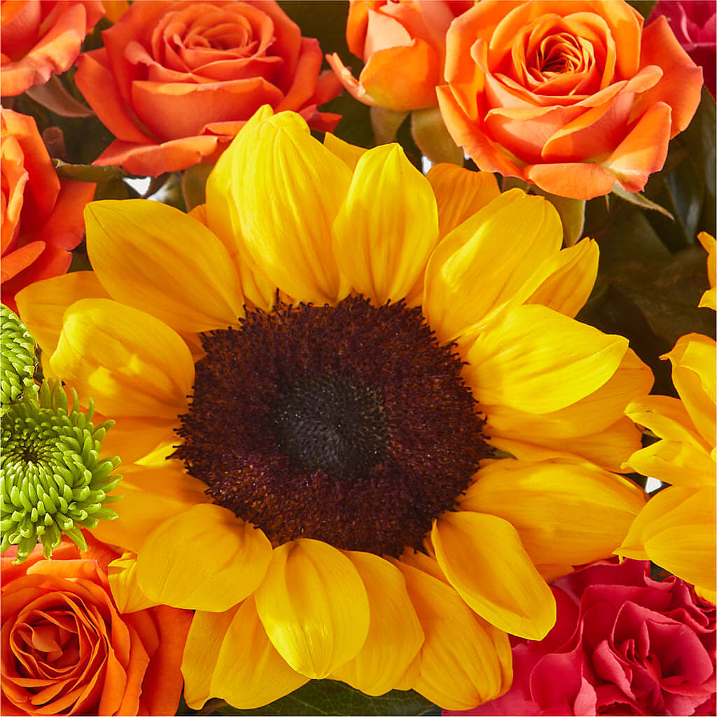 Sun-drenched Blooms Box Bouquet –  Flover, Wallington NJ