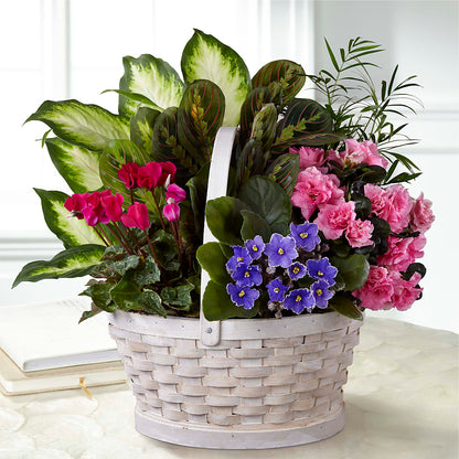 Peaceful Garden Planter –  Flover, Wallington NJ