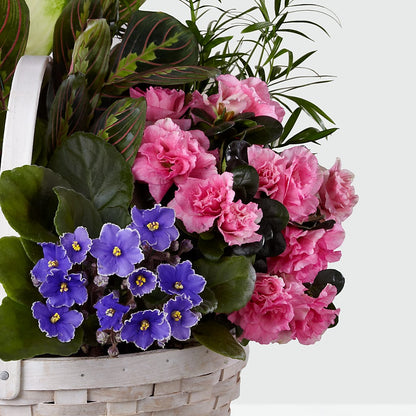 Peaceful Garden Planter –  Flover, Wallington NJ