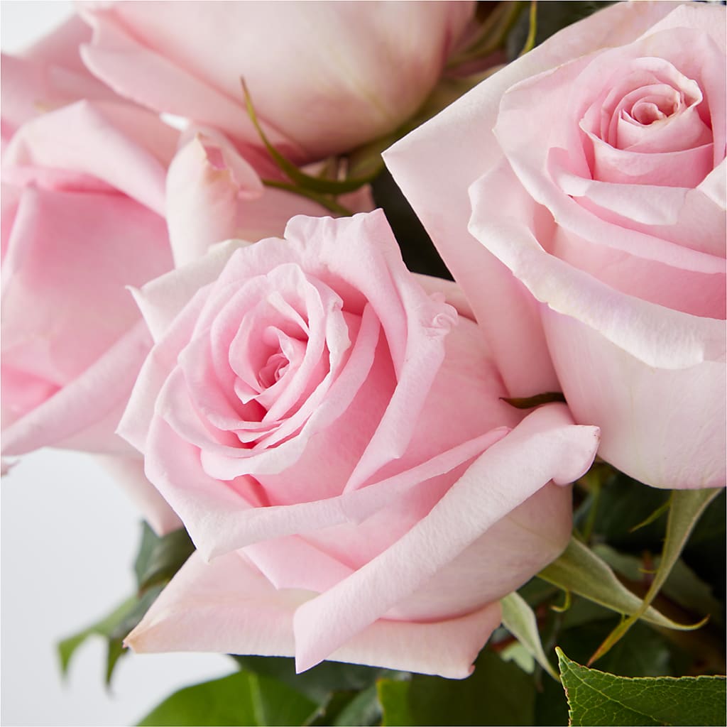 Picture Perfect Pink Rose Bouquet –  Flover, Wallington NJ